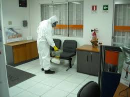 control de plagas fumigación santo domingo republica dominicana tratamiento servicios comejen empresa mantenimiento limpieza
