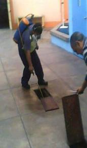 fumigacion control de plagas santo domingo republica dominicana empresa servicios limpieza mantenimiento