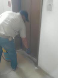 fumigacion en santo domingo control de plagas en republica dominicana fumigadores empresa servicios mantenimiento limpieza