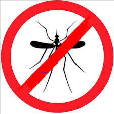 fumigacion mosquitos santo domingo control de plagas republica dominicana empresa de servicios y mantenimiento