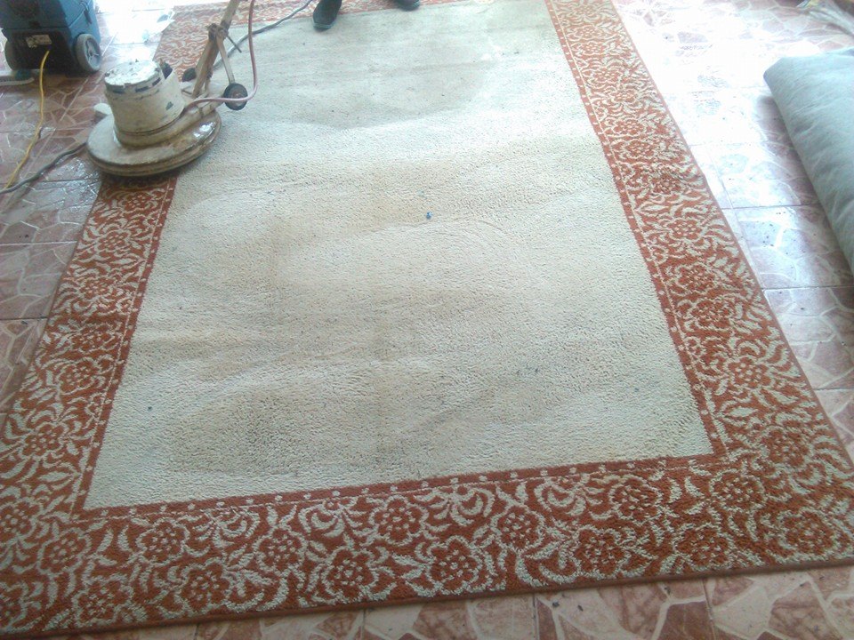 Limpieza y mantenimiento de alfombras en santo domingo lavado a domicilio en republica dominicana empresa servicio