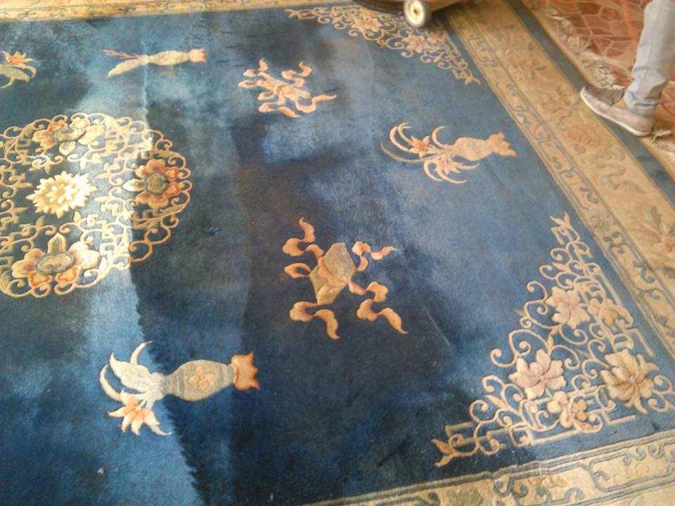 Empresa de limpieza en santo domingo lavado de alfombras en republica dominicana mantenimiento a domicilio servicios