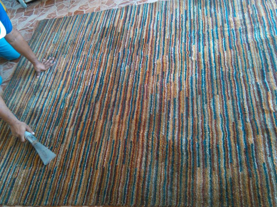 Lavado de alfombras a domicilio en republica dominicana limpieza y mantenimiento en santo domingo empresa de servicios