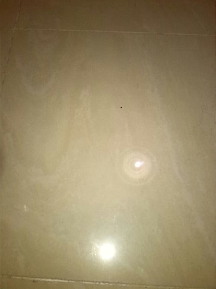 limpieza de porcelanato en santo domingo empresa servicios y mantenimiento cristalizado marmol brillado piso pulido granito tratamiento comejen republica dominicana fumigacion plagas