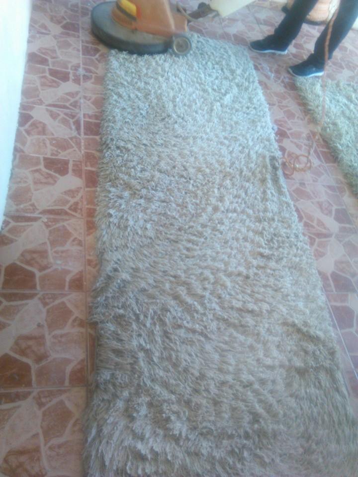 Lavado de alfombras ensanto domingo empresa limpieza  republica dominicana servicio conserjeria fumigacion plagas tratamiento comejen control mosquitos cristalizado pisos