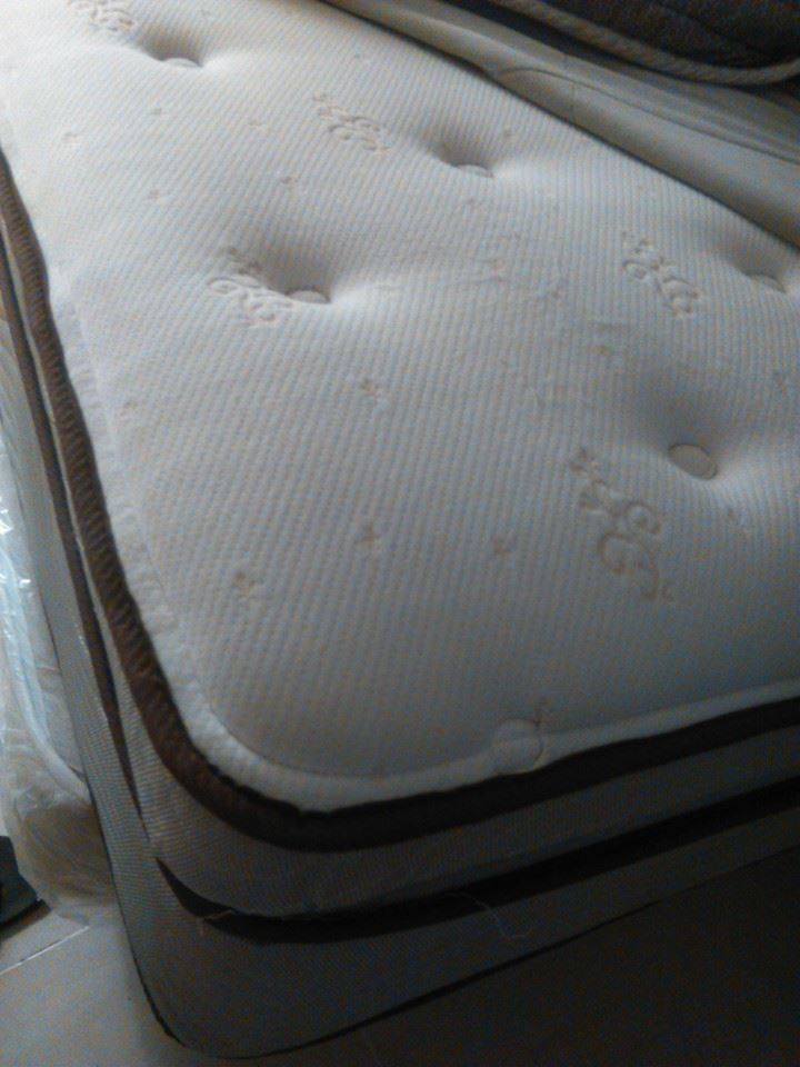 Limpieza colchones en republica dominicana lavado alfombras empresa servicio conserjeria brillado piso cristalizado marmol fumigacion plagas control termitas tratamiento comejen