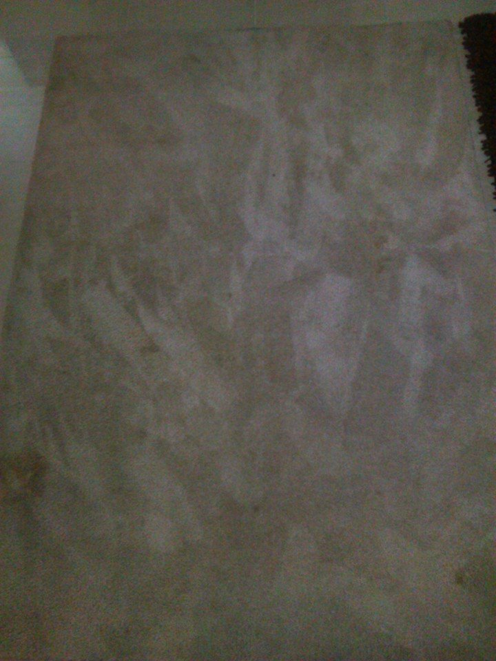 personal limpieza de alfombras en Republica Dominicana empresa lavado santo domingo tratamiento comejen fumigacion plagas control termitas cristalizado pisos brillado granito mantenimiento colchones servicio conserjeria
