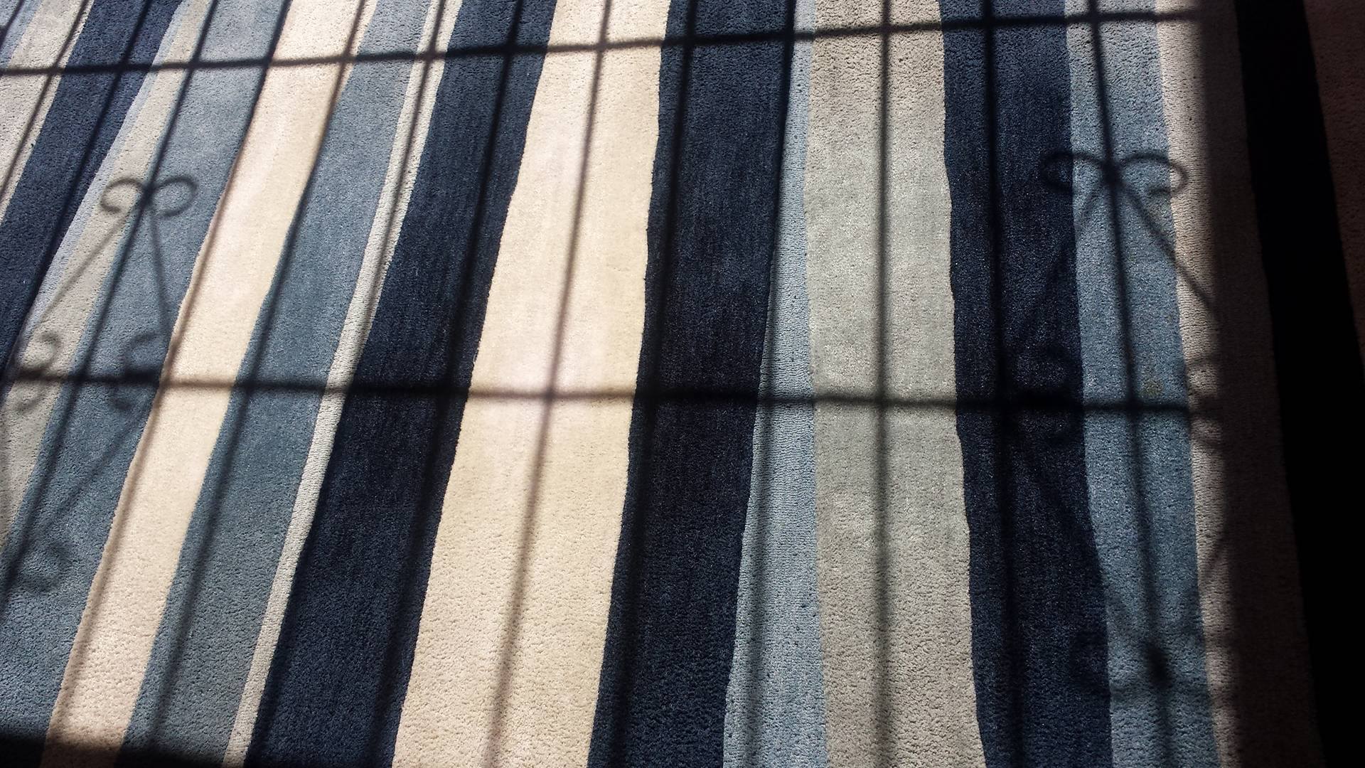 Lavado de alfombras a domicilio en santo domingo limpieza muebles vapor republica dominicana empresa servicios conserjeria brillado pisos pulido marmol fumigacion plagas control garrapatas tratamiento comejen