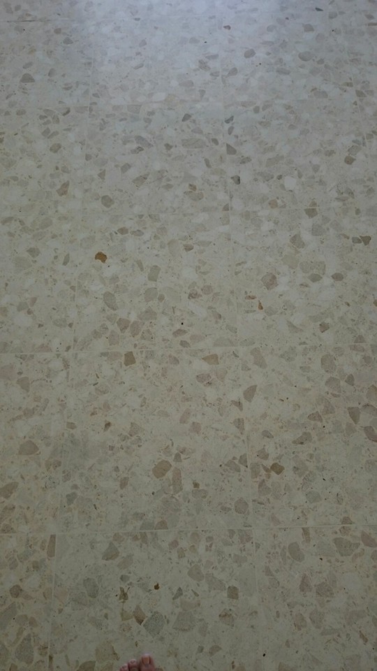 pulido de pisos en republica dominicana cristalizado marmol santo domingo brillado granito limpieza porcelanato y ceramica desinfeccion colchones lavado a vapor muebles limpieza domicilio alfombras tratamiento comejen