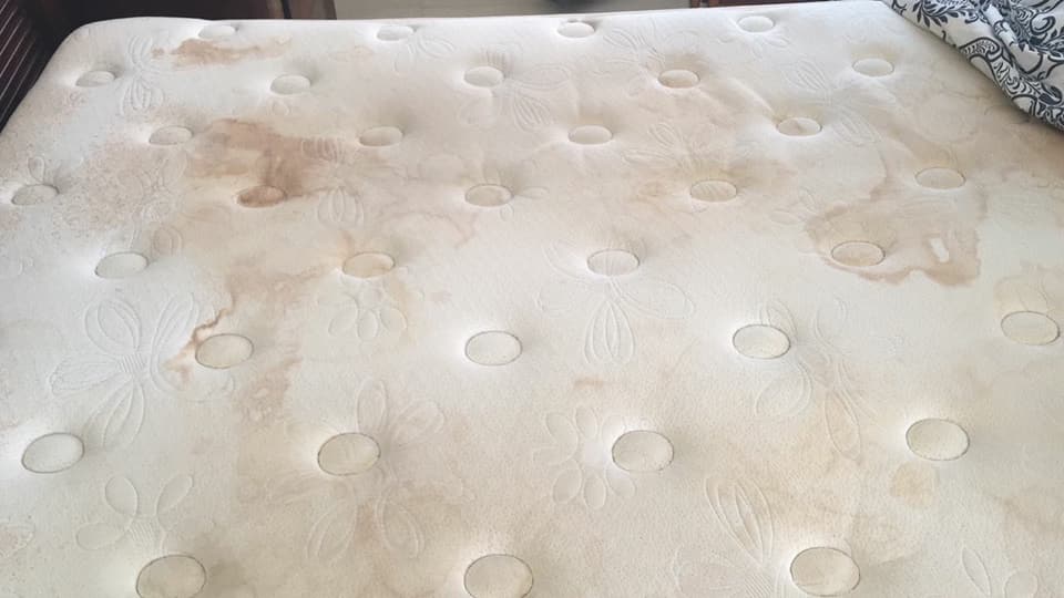 desinfeccion de colchones en santo domingo empresa limpieza muebles republica dominicana lavado vapor alfombras cristalizado pisos brillado marmol pulido granito fumigacion mosquito cont
